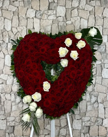IMG_1846.webp