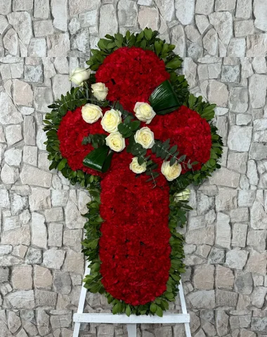 cruz_bermeo.webp