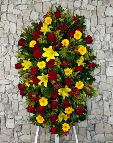 palma_bolarque.webp